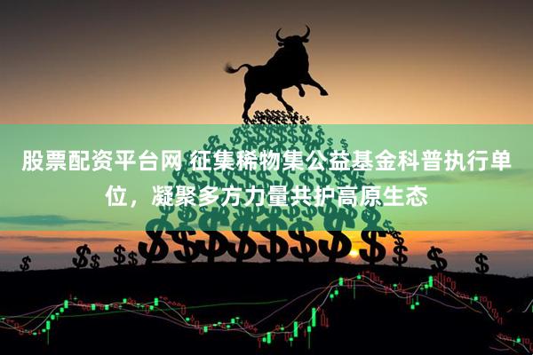 股票配资平台网 征集稀物集公益基金科普执行单位，凝聚多方力量共护高原生态