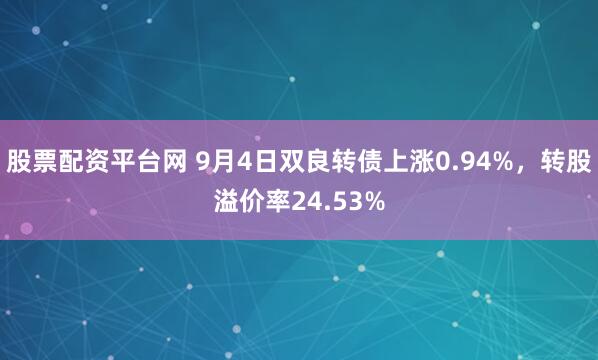 股票配资平台网 9月4日双良转债上涨0.94%，转股溢价率24.53%