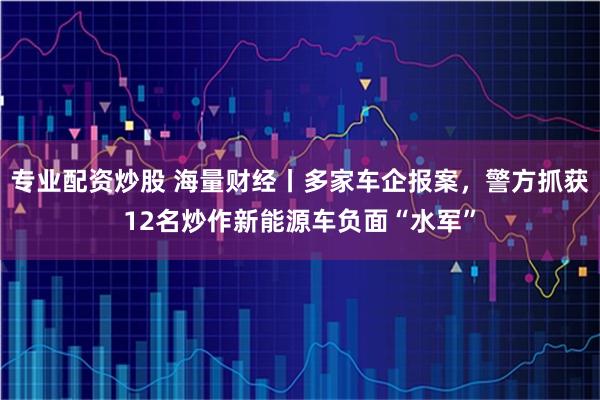 专业配资炒股 海量财经丨多家车企报案，警方抓获12名炒作新能源车负面“水军”