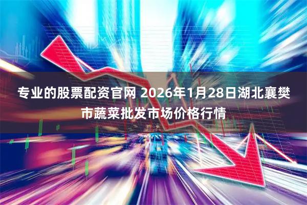 专业的股票配资官网 2026年1月28日湖北襄樊市蔬菜批发市场价格行情
